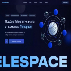 Скриншот главной страницы сайта consultancy-telespace.ru