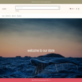 Скриншот главной страницы сайта coopian.com