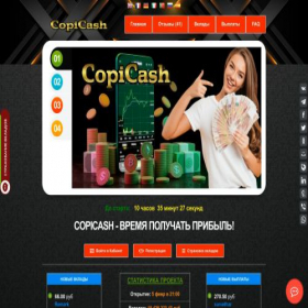 Скриншот главной страницы сайта copicash.com.ru