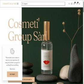 Скриншот главной страницы сайта cosmetigroupsarl.com