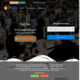 Скриншот главной страницы сайта courseseo.ru