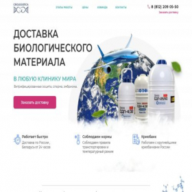 Скриншот главной страницы сайта criologistica.pro