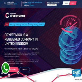 Скриншот главной страницы сайта cryptovigo-investment.ltd