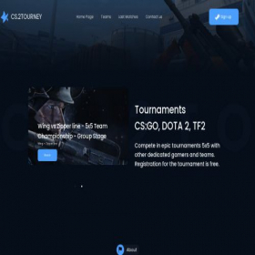 Скриншот главной страницы сайта cs.2tourney.com