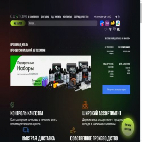 Скриншот главной страницы сайта custom.su