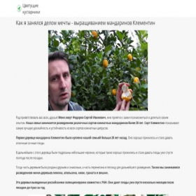 Скриншот главной страницы сайта cvetkustarnik.creatium.site