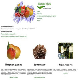 Скриншот главной страницы сайта cvetnikurala.ru