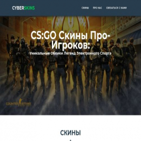 Скриншот главной страницы сайта cyberskins.ru
