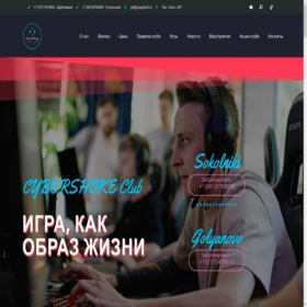 Скриншот главной страницы сайта cybshokes.ru