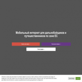 Скриншот главной страницы сайта dalnoboy.es