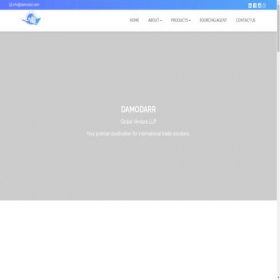 Скриншот главной страницы сайта damodarr.com