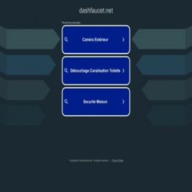 Скриншот главной страницы сайта dashfaucet.net