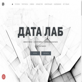 Скриншот главной страницы сайта datalab.moscow