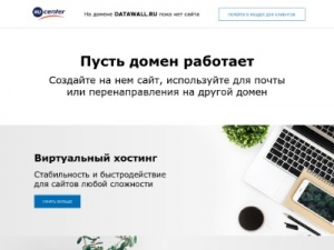 Скриншот главной страницы сайта datawall.ru