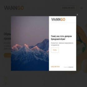 Скриншот главной страницы сайта dealer.wanngo.ru