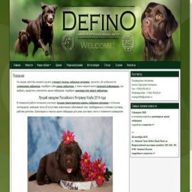 Скриншот главной страницы сайта defino.ru