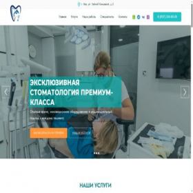 Скриншот главной страницы сайта delfinufa.ru