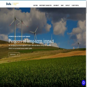 Скриншот главной страницы сайта dellegroup.com