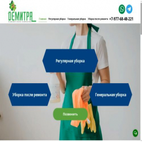 Скриншот главной страницы сайта demitra.ru