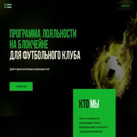 Скриншот главной страницы сайта demo-clean.ru