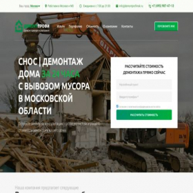 Скриншот главной страницы сайта demontprofimsk.ru