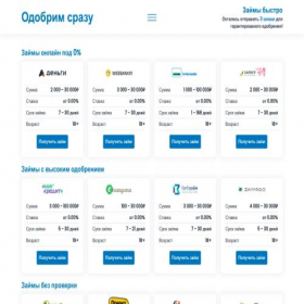Скриншот главной страницы сайта denegvdolgtoday.online