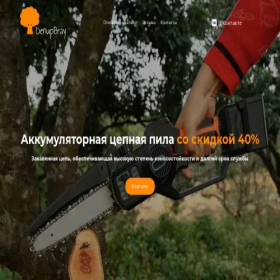 Скриншот главной страницы сайта denupbray.ru