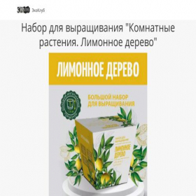Скриншот главной страницы сайта derevolimona.creatium.site