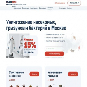 Скриншот главной страницы сайта des-max.ru