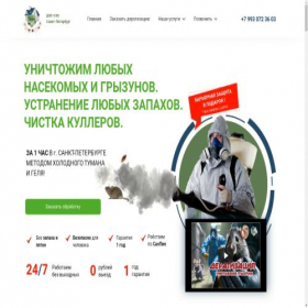 Скриншот главной страницы сайта des-ses.ru