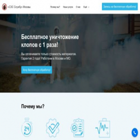 Скриншот главной страницы сайта des-ses.turbo.site