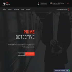Скриншот главной страницы сайта detectionspy.ru
