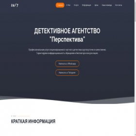 Скриншот главной страницы сайта detective-elita.ru