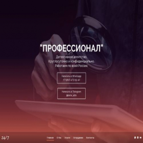 Скриншот главной страницы сайта detective-pro.ru