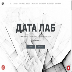 Скриншот главной страницы сайта detective.mobi