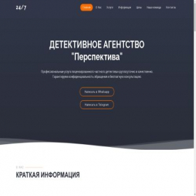 Скриншот главной страницы сайта detectiving.ru