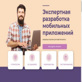 Скриншот главной страницы сайта developer-smart.ru