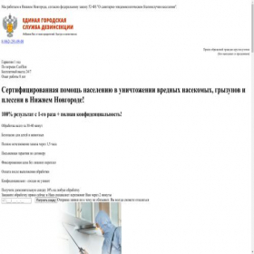 Скриншот главной страницы сайта dez24.store