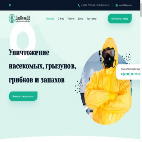 Скриншот главной страницы сайта dezclean-dv.ru