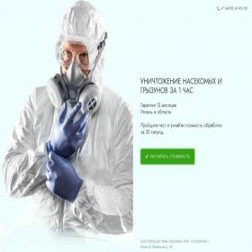 Скриншот главной страницы сайта dezinator.quizgo.me