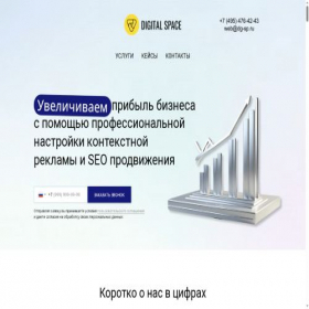 Скриншот главной страницы сайта dgs-pro.ru