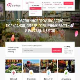 Скриншот главной страницы сайта diantusopt.ru