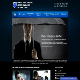 Скриншот главной страницы сайта dibnn.ru