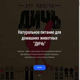 Скриншот главной страницы сайта dichsite.ru