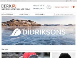 Скриншот главной страницы сайта didrik.ru