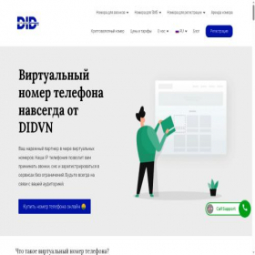 Скриншот главной страницы сайта didvirtualnumbers.com
