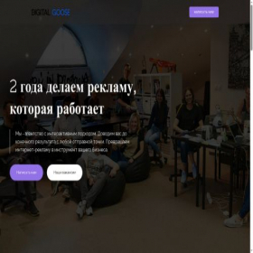 Скриншот главной страницы сайта digitalgoose.pro