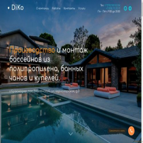 Скриншот главной страницы сайта diko-pool.ru