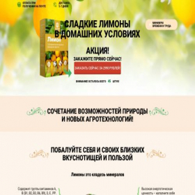 Скриншот главной страницы сайта dikolsa.online