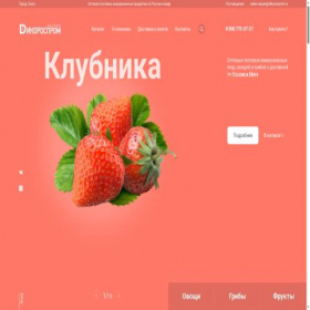 Скриншот главной страницы сайта dikorosprom.ru